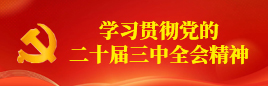 学习贯彻党的二十届三中全会精神