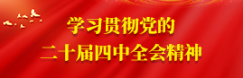 学习贯彻党的二十届四中全会精神