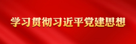 学习贯彻习近平党建思想